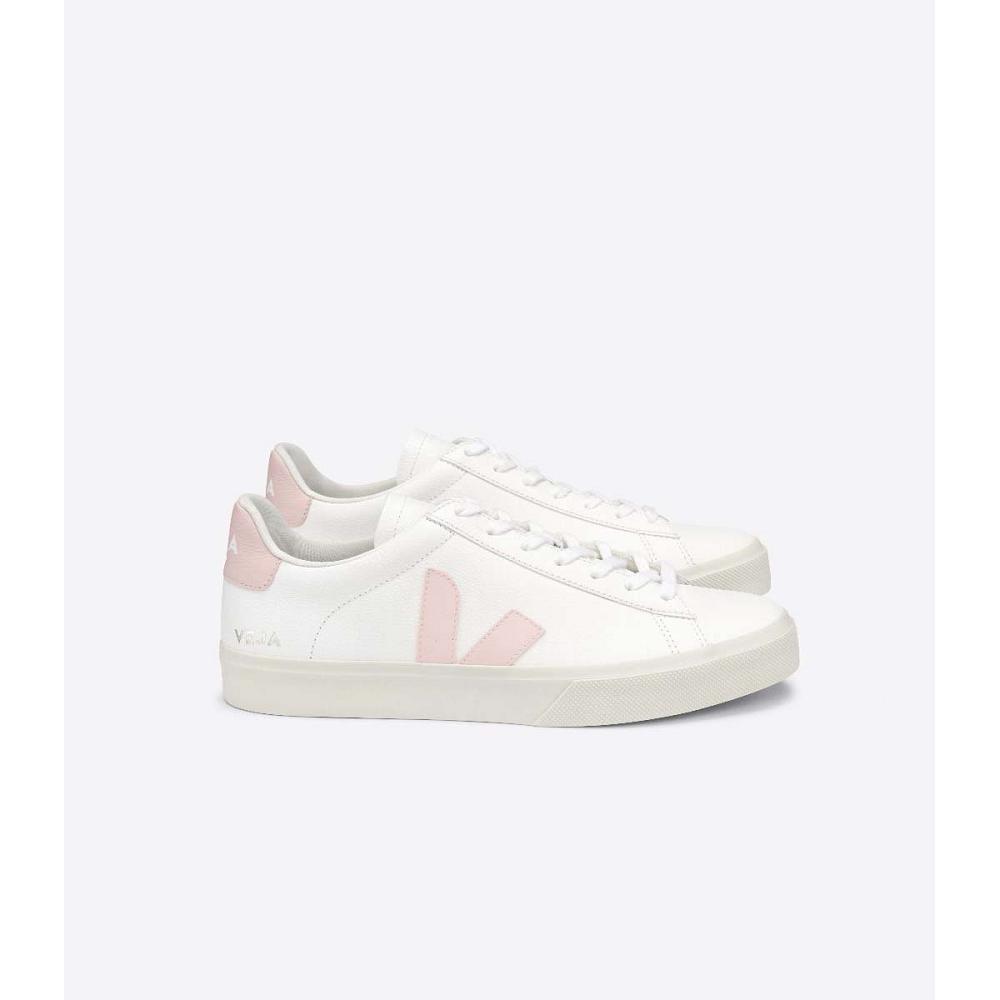 White/Pink Women\'s Veja CAMPO CHROMEFREE Low Tops Sneakers | AU 463KOR